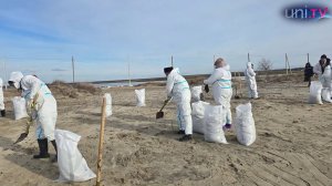 В числе первых волонтеров на месте крушения судов с мазутом в Черном море были экологи Дубны