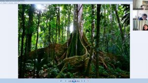 Южная_Америка_Природа_7_класс(1)