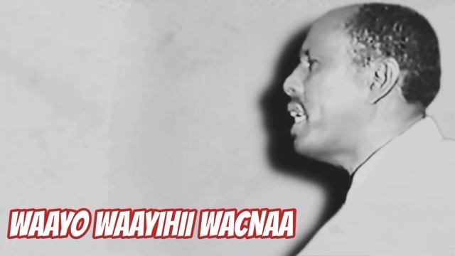 Cumar Dhuule Cali 🔥Iyo Kooxdii Waaberi Iyo Heesta "QISAAS" смотреть онлайн