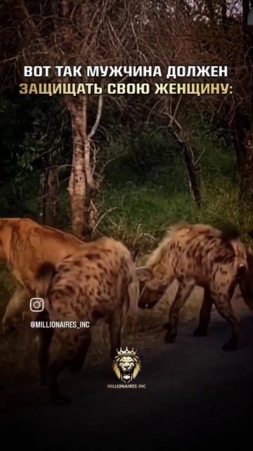 5 июня 2024 г. смотреть онлайн