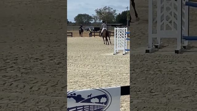 Mira Show Jumping - 2023 Rocking Horse 1 смотреть онлайн