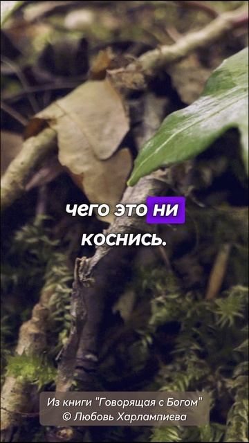 "О технологиях, оружии и будущем"