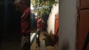 Задарья Арыс