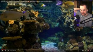 РЕАКЦИЯ на РЫБ в аквариуме! / Уликс