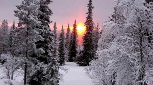 ВОЛШЕБНАЯ ЗИМА, ОЧЕНЬ КРАСИВАЯ МУЗЫКА. MAGICAL WINTER. MUSIC. INVIERNO MAGICO, MÚSICA MUY HERMOSA.❄️