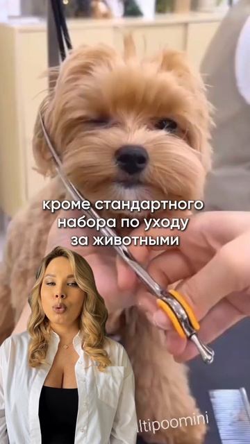 водите своих питомцев в груминг-салон?