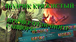 ГАЙД // ОБЗОР // ПОДРИК КРЯЖИСТЫЙ // RAID SL // ФТП ИГРОК