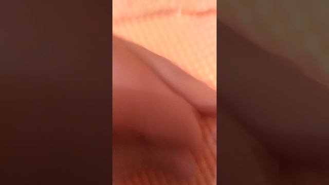 Распаковка петов смотреть онлайн