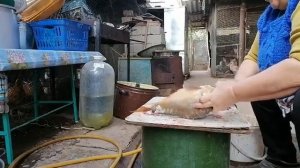 ЧАСТЬ ВТОРАЯ ЗАГОТОВКА РЫБЫ НА ЗИМУ.