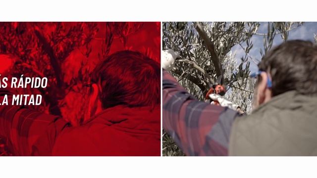 Beneficios de la tijera eléctrica de Bellota смотреть онлайн