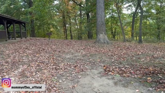 Telling My KIDS I'm PREGNANT! + Getting Their REAL REACTIONS on CAMERA! смотреть онлайн