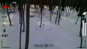 Слендермен в реальной жизни / Slendermen in Real life