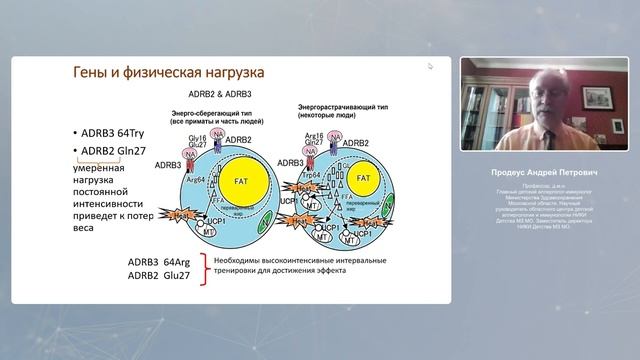 Нутригенетика  Как похудеть за лето и помогут ли нам витамины