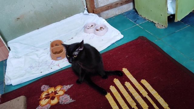 Рассчитываешь на одно а получается со всем другое смотреть онлайн