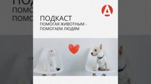Мейнкуны. Адаптация котенка в новом доме. Второй выпуск. Реклама | ООО Апиценна| ИНН 7703440336 |..