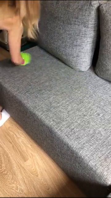 Варежка для уборки AQUAMAGIC TWIST 🔥🔥 смотреть онлайн