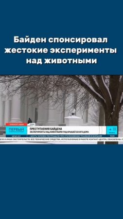 Байден спонсировал жестокие эксперименты над животными #сша #байден #эксперименты #опыты #shorts