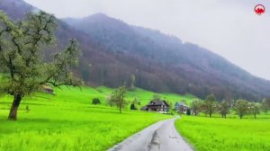 Сильная дождливая погода, езда в сельской местности Швейцарии🇨🇭