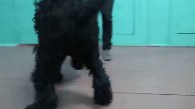 MVI 0428 смотреть онлайн