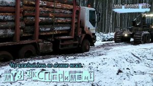 мы возим лес.mp4