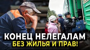 Россия избавляется от нелегалов. Новые законы в миграционной политике