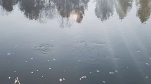 Место с рябью в реке