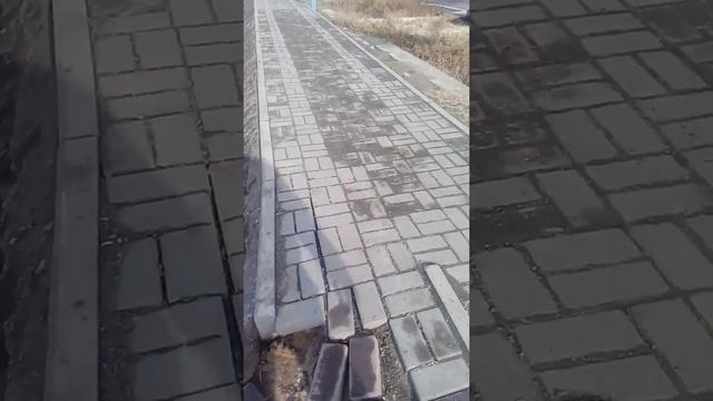 Түркістан сапасыз жол салған қай фирма?кабылдаған жемқор кім? смотреть онлайн