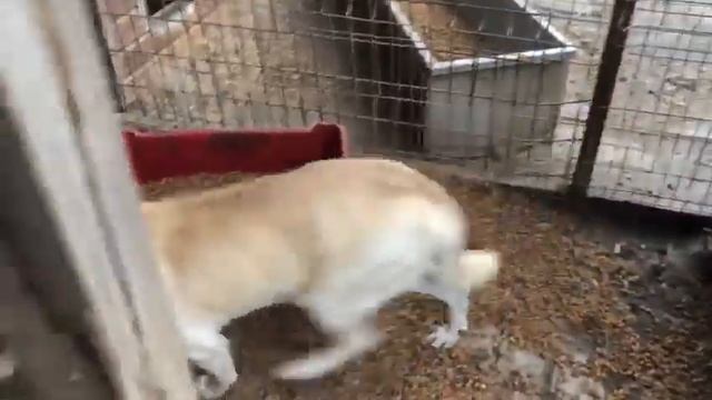 ARUNO + ARALIA + JACKYBOY - April 2023 смотреть онлайн