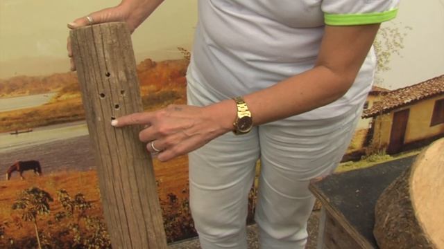 Ninho da Abelha Solitária смотреть онлайн