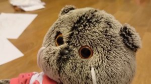 ИСТОРИЯ БАСИКА #увлечения#первого#Басика