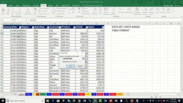 Excel Data Management Best Practices - Training in Urdu by Mr Shahzad Anwar at NEW CASTLE
