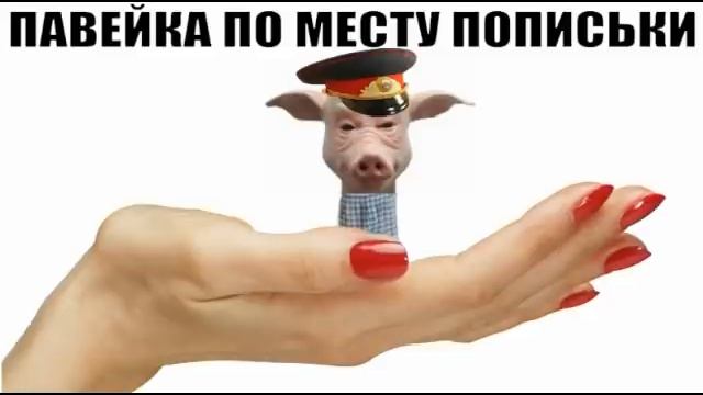 ✅ С орханiв павейка по месту пописьки / мошенники звонят по телефону смотреть онлайн