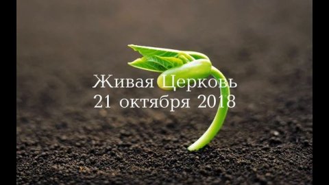 Живая Церковь