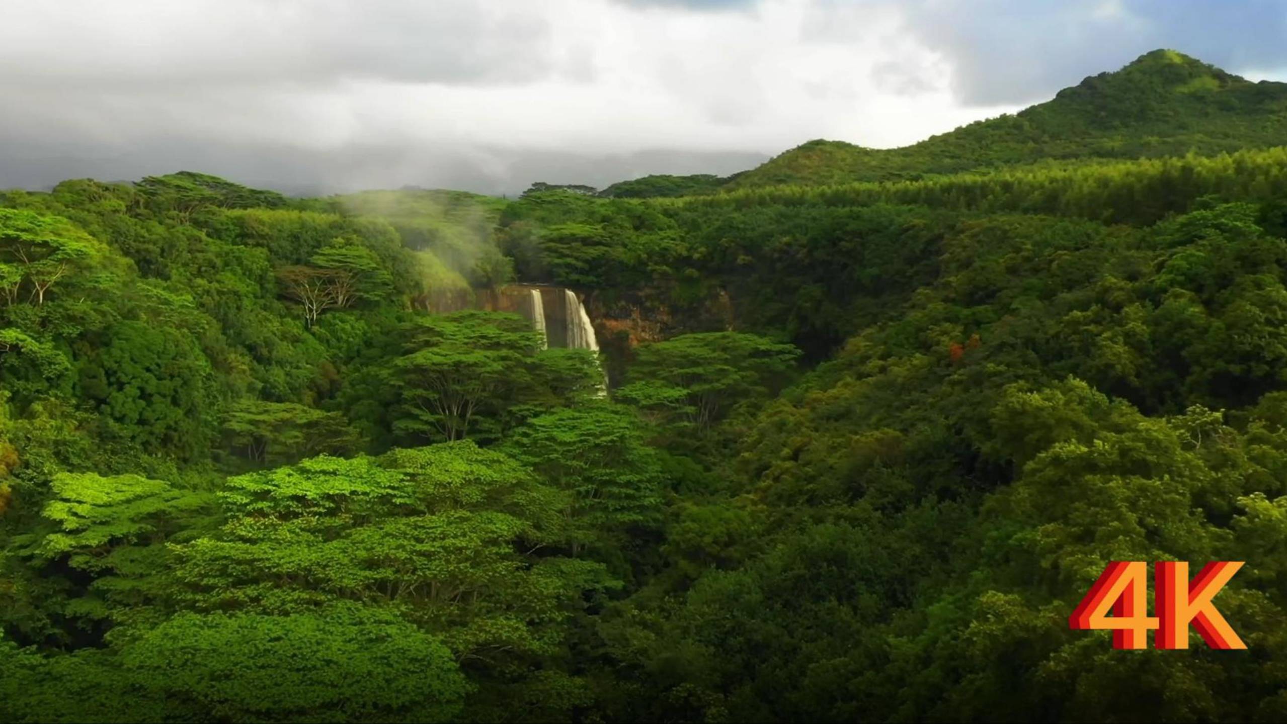 Природа 4К / Планета 4K / #медитация смотреть онлайн