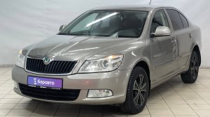 SKODA OCTAVIA Серый