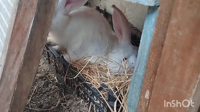 низкий поклон всем моим подписчикам 🥰🥰🥰 Нас уже 25000!!! смотреть онлайн