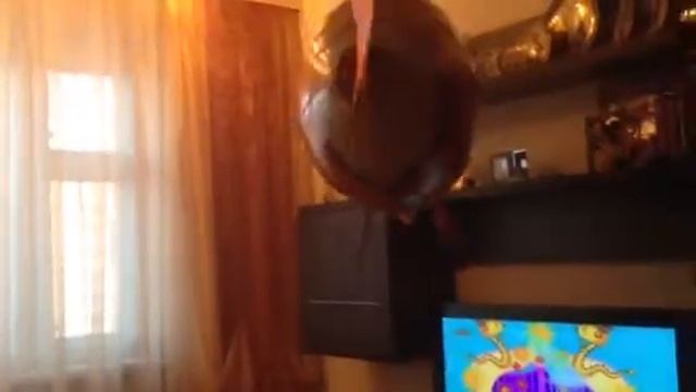 Летающая рыба смотреть онлайн