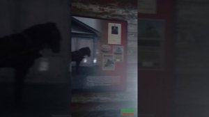 Васильево часть 2