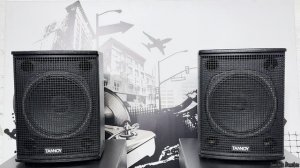 Обзор колонок TANNOY V 12