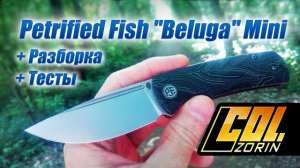 Petrified Fish "Beluga" Mini PFP01X, 14C28N. + Разборка +тесты