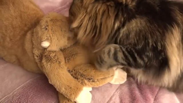 С Новым Годом Обезьяны 2016!!! смотреть онлайн