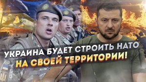 Зеленский хочет «построить украинское НАТО». Из кизяков, наверное...