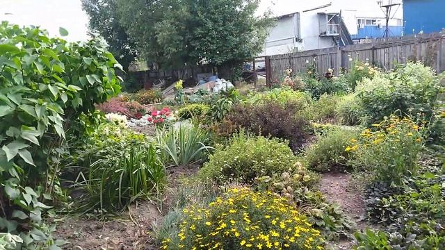 Моё 23.08.22. Очень летнее настроение.🌺☀️☘️ смотреть онлайн