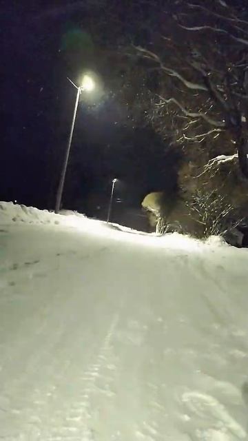 MJX Hyper Go 10208 snow race