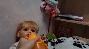 вечерний влог с реборном