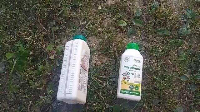 Помідори без хімії реально!Біопрепарати на помідорах!Сезар!Фітохелп!Фітоцид!