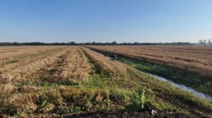 Дрон XAG P100. Завершение сезона по десикации рапсов.