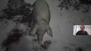 Кто хрюкает??