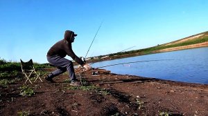Таскаем Сазанов на донки с берега летняя рыбалка