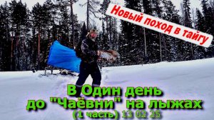 В один день до Чаёвни на лыжах 13 02 25  (1 часть)